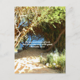 Bibelverse Liebe Zitat Sprichwort Römer 12:21 Postkarte