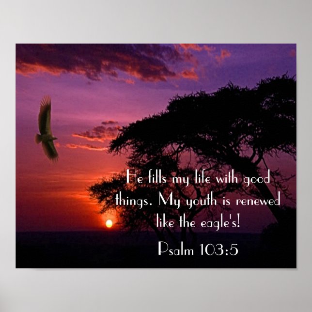 Bibelverse Psalm 103:5 Sonnenuntergang und Adler Poster (Vorne)