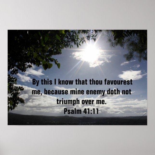 Bibelverse Psalm 41:11 Poster (Vorne)