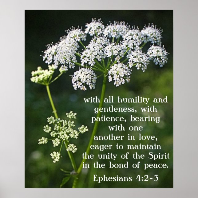 Bibelverse über Liebe Ephesians 4:2-3 Poster (Vorne)