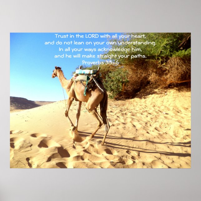 Bibelverse Zitat über Vertrauenssprichwörter 3:5-6 Poster (Vorne)