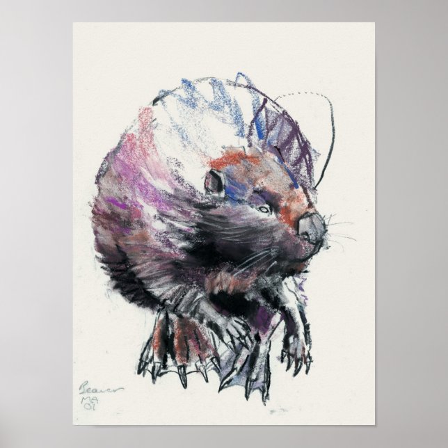 Biber 2001 poster (Vorne)