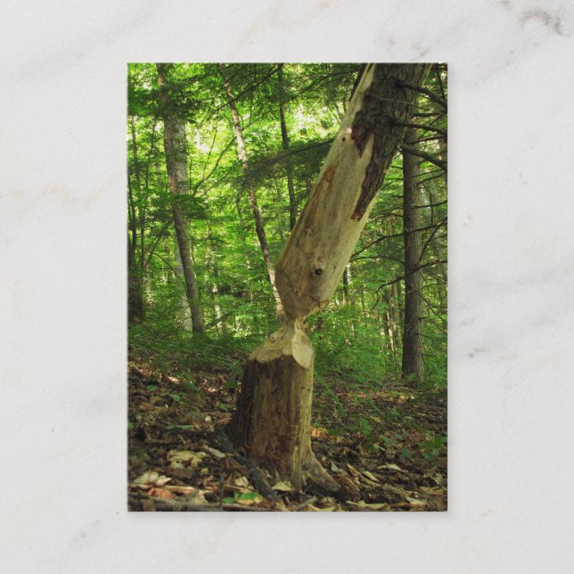 Biber an Arbeit ATC Visitenkarte (Vorderseite)