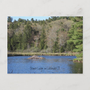Biber Lodge in COLEBROOK, CT Postkarte