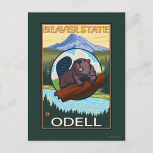 Biber & Mt. Hood - Odell, Oregon Postkarte