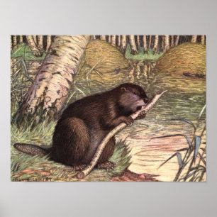 Biber von Louis Sargent, Vintage Wildtiere Poster