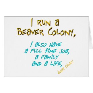 Biberführer-Türkis