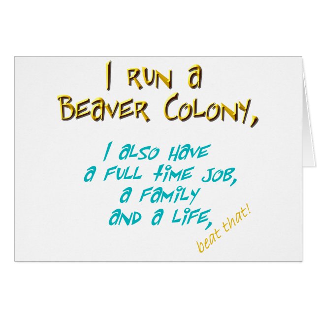 Biberführer-Türkis (Vorderseite (Horizontal))