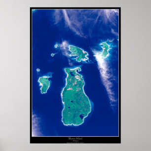 Biberinsel, Satellitenposter von Michigan Poster