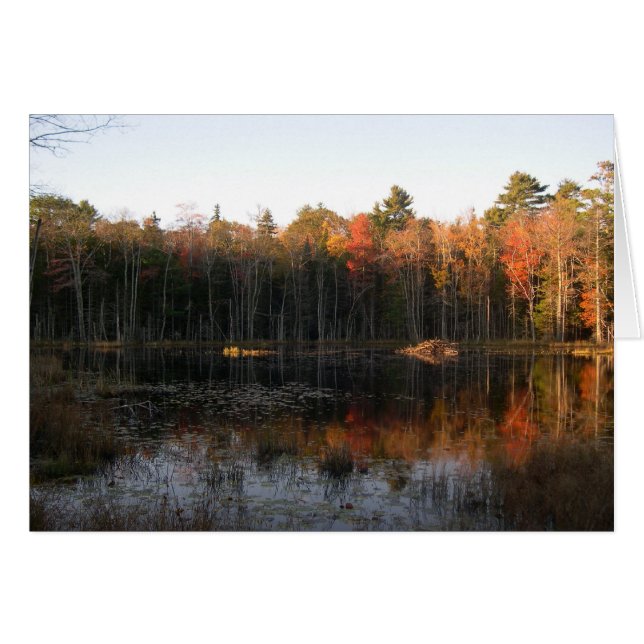 Biberteich von Hampshire im Herbst (Vorderseite (Horizontal))
