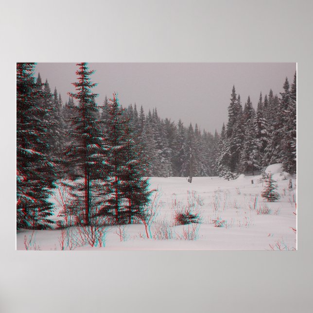 Biberteiche Poster (Vorne)