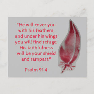 Bible Verse Postcard Psalm 91:4 Feathers Postkarte