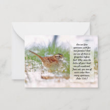 Bible Verse Scripting Note Card Sparrow Religion