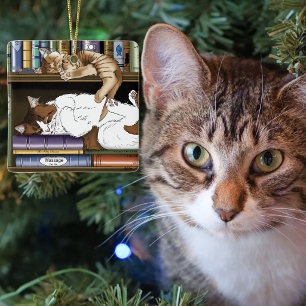 Bibliothek für Katzen buchen Keramikornament