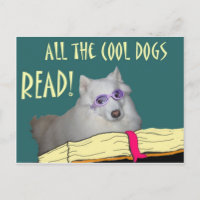 Bibliothek - Samoyed - Coole Hunde Lesen