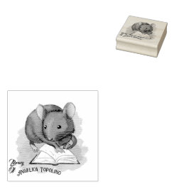 Bibliothek Topo Buchbesitzer Tinte Briefmarke Gummistempel