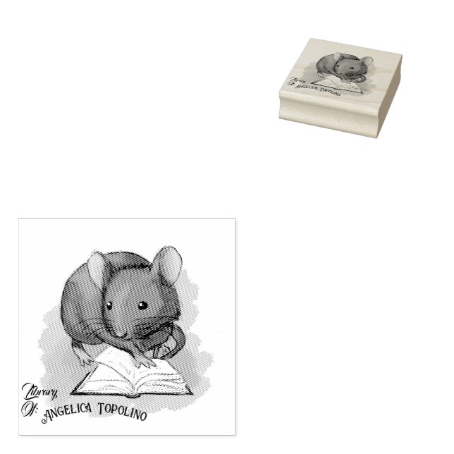 Bibliothek Topo Buchbesitzer Tinte Briefmarke Gummistempel (Stempel)