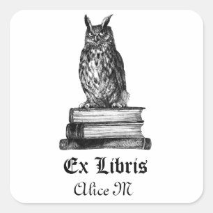 Bibliotheks-Eule ex libris Quadratischer Aufkleber