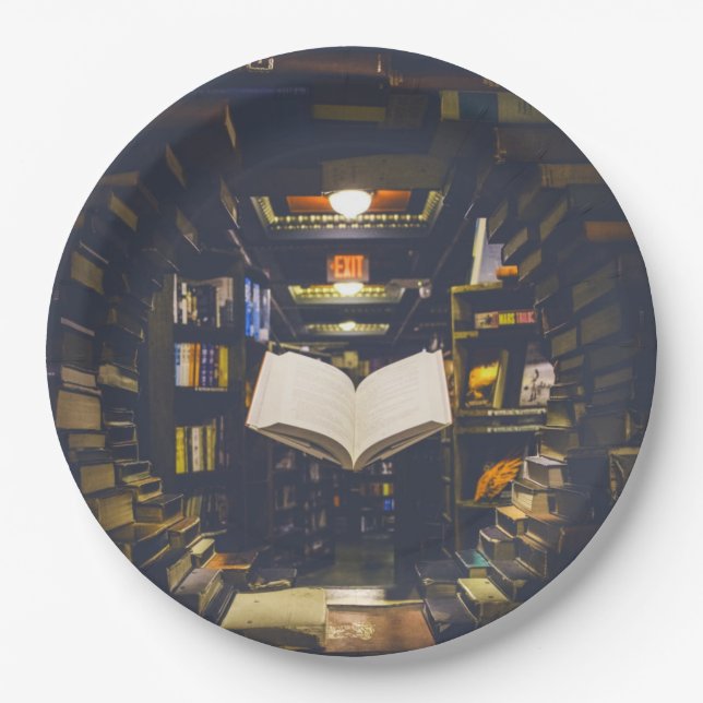 Bibliotheksbücher - Bücherregale Pappteller (Vorderseite)