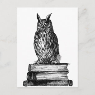 Bibliothekseule Postkarte
