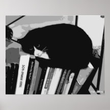 Bibliothekskatze