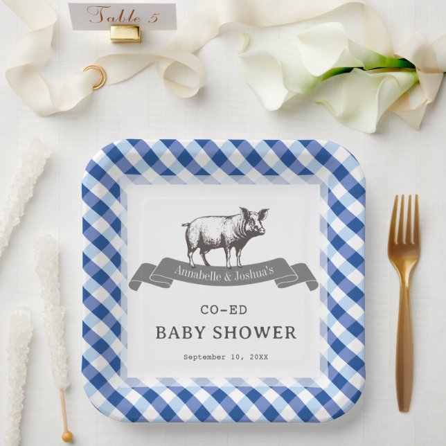 Bibs & Ribs BBQ Rustic Navy Gingham Babyparty Pappteller (Hochzeit)