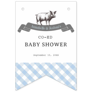 Bibs & Ribs GRILLEN Rustic Blue Gingham Baby Showe Wimpelkette