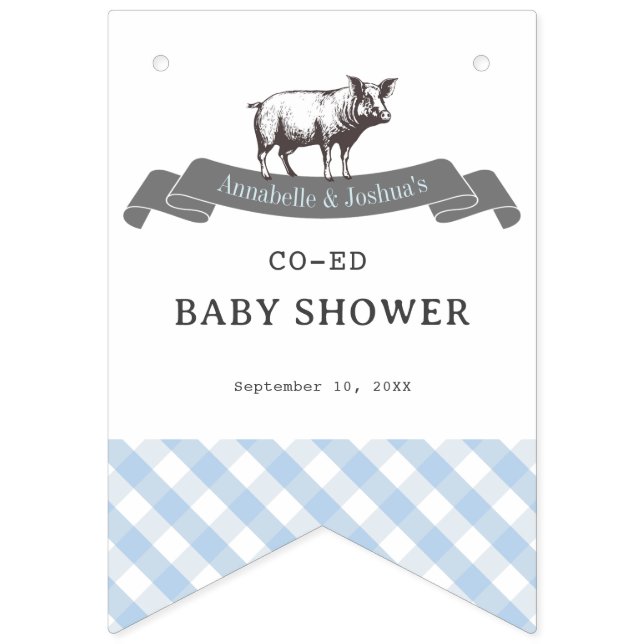 Bibs & Ribs GRILLEN Rustic Blue Gingham Baby Showe Wimpelkette (Zweite Fahne)