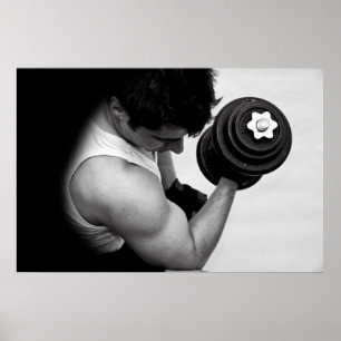 BICEP CURL POSTER