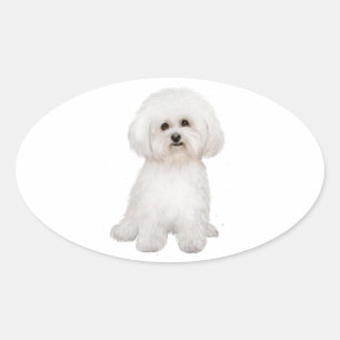 Bichon (B) Ovaler Aufkleber