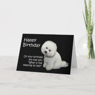 Bichon Birthday Card Karte