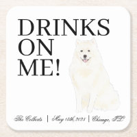 Bichon, Bolognese, Havanese, Malteser Hochzeit