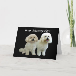 Bichon Buddies Grußkarte Feiertagskarte