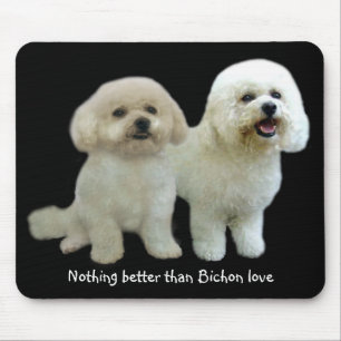 Bichon Freunde Mousepad