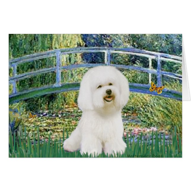 Bichon Frise 1 - Bridge (Vorderseite (Horizontal))