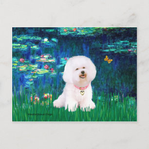Bichon Frise 1 - Lilies #5 Postkarte
