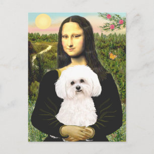 Bichon Frise 2R - Mona Lisa Postkarte