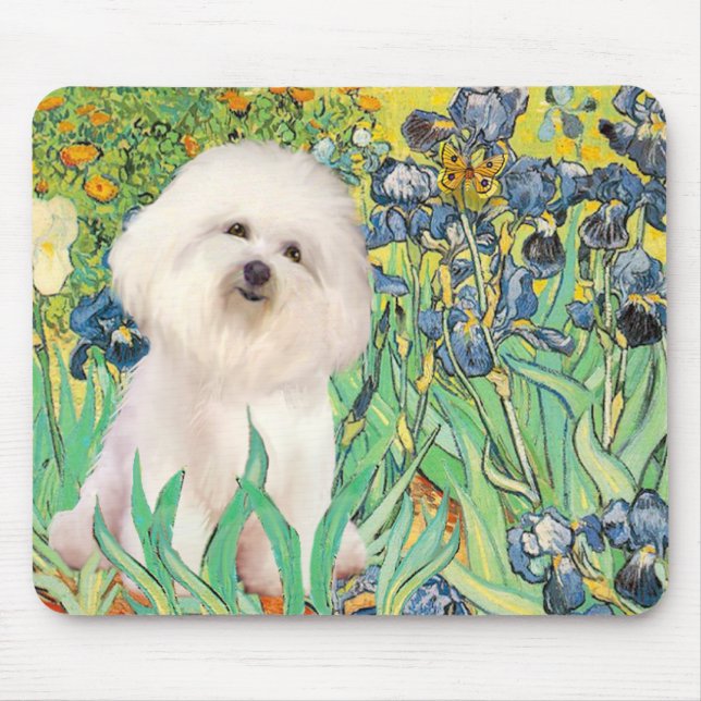 Bichon Frise 4 - Ire Mousepad (Vorne)