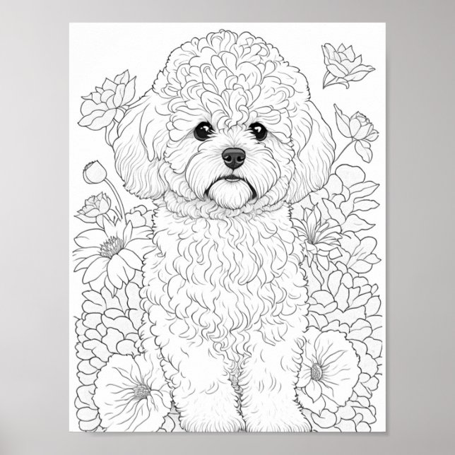 Bichon Frise Adult Coloring Poster (Vorne)
