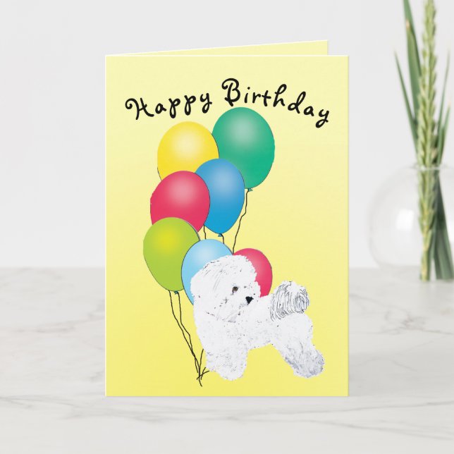 Bichon Frise alles Gute zum Geburtstag Karte (Vorderseite)