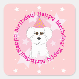 Bichon Frise alles- Gute zum Geburtstagaufkleber Quadratischer Aufkleber