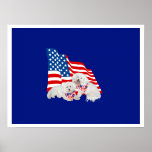 Bichon Frise Amerikanische Flagge Poster