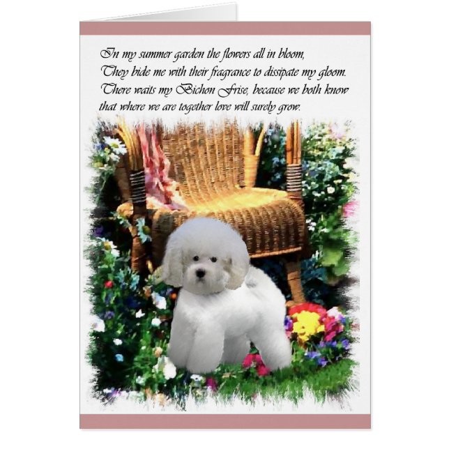 Bichon Frise Art Geschenke (Vorne)