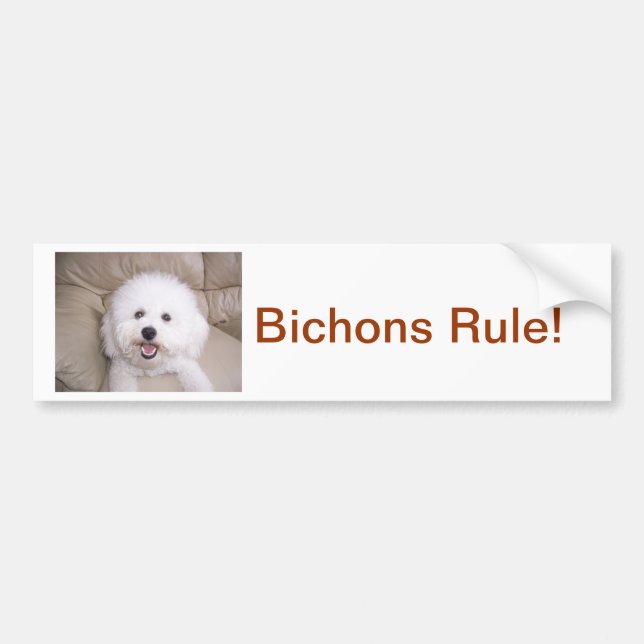 Bichon Frise Autoaufkleber (Vorne)