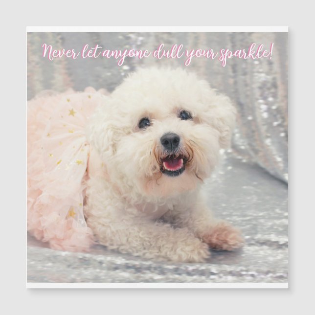 Bichon Frise Ballerina Weihnachten Positive Vibes Magnetkarte (Vorderseite)