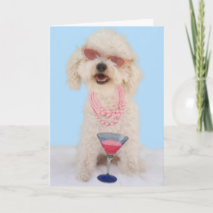 Bichon Frise Birthday Card by Focus for a Cause Karte