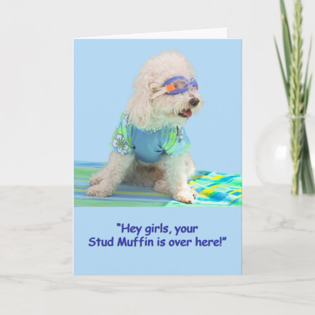 Bichon Frise Birthday Card Karte (Vorderseite)