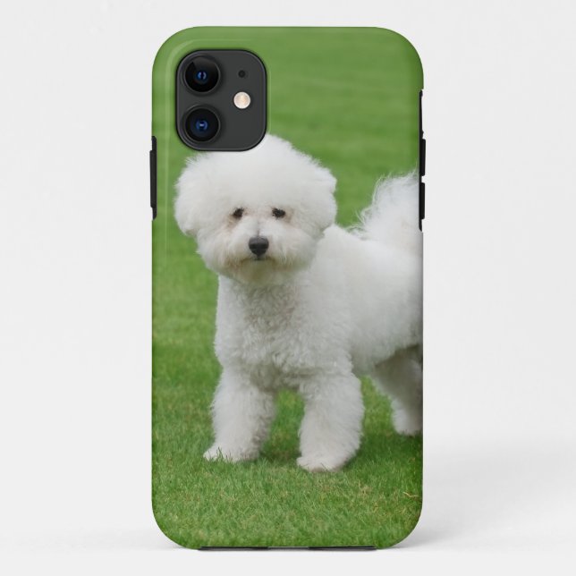 Bichon Frise Case-Mate iPhone Hülle (Rückseite)