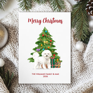 Bichon Frise Christmas Card Feiertagskarte