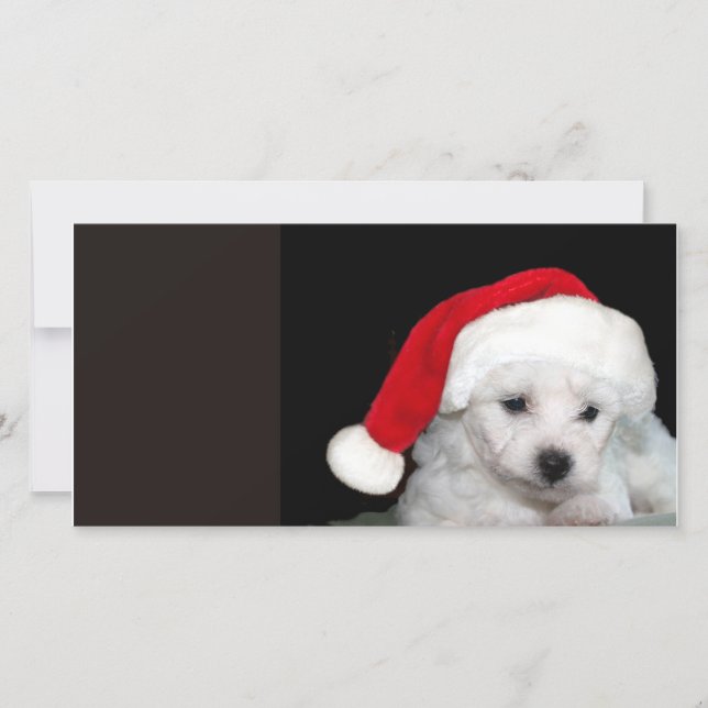Bichon Frise Christmas Feiertagskarte (Vorderseite)